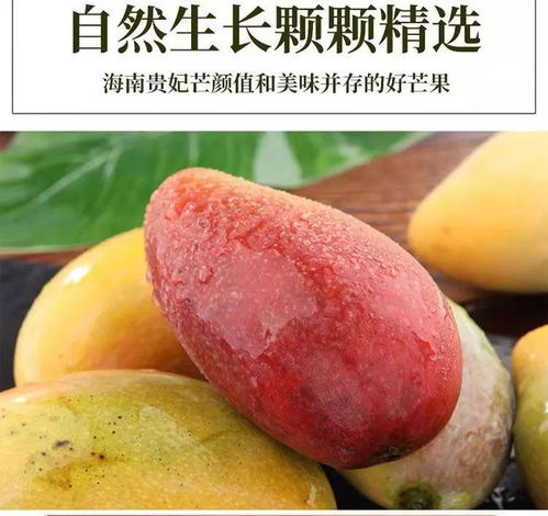 正宗海南三亚芒果贵妃芒 128元抢8斤 含箱 贵妃芒口感香甜多汁,果园直采