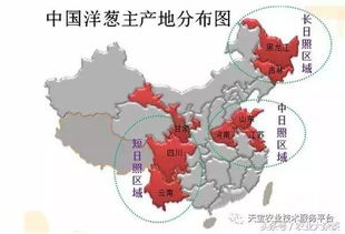 洋葱2023年价格走势分析