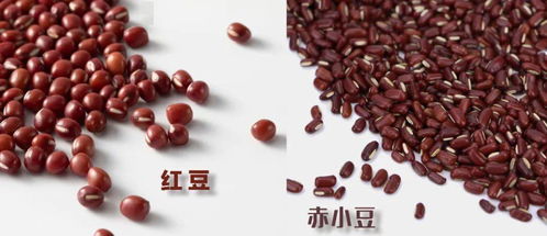 这些药品和食物,一字之差,差之千里 千万别用错了