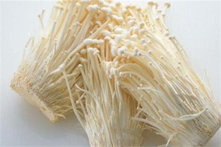 金针菇根部水培方法,切除根部后水培入碗