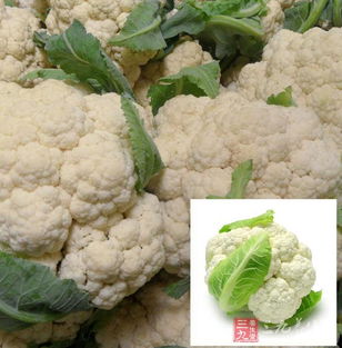 饮食禁忌 最好别买这六种蔬菜