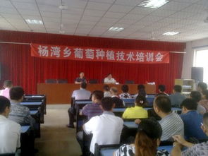 杨湾乡 将葡萄种植技术培训班搬到种植基地