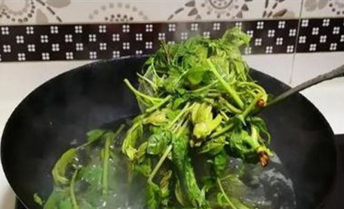 春天吃香椿,切记这 4忌 ,不会吃别乱做,搞清楚吃得才放心