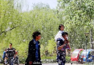 天津人注意 下雨 大风 降温 暴 雪
