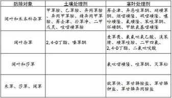 旱情即将终结,这轮降雨将持续到18号 没下透的地块后续怎么办看这里