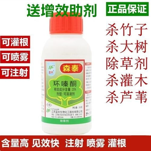 森泰环嗪酮杂竹净杀大树农药杂草杂灌除草剂烂根杀竹子灭树死根