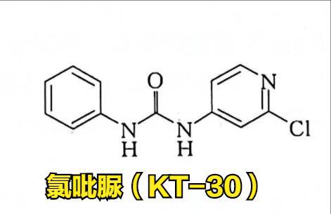 植物生长调节剂应用技术之氯吡脲 KT 30