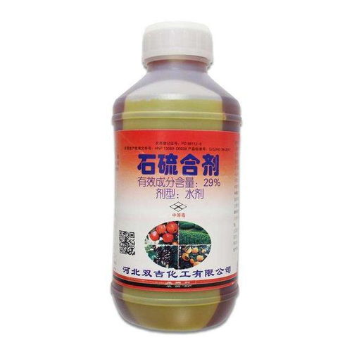 果树清园用什么药剂 价格实惠效果好,给果树一次全身SPA