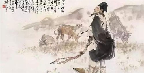 辛弃疾的名句,被诗词大会康震挑出瑕疵,主持人龙洋不知怎么接话