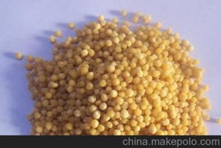山东磷酸二铵