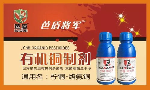 提醒 老客户一定不要错过