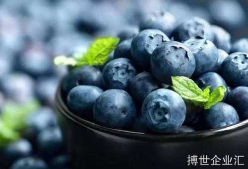 晋中蓝莓多少钱一斤查询更多
