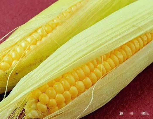 院士提醒 生活中最脏的4种食物,聪明人从来都不买,摊主 我自己都不吃