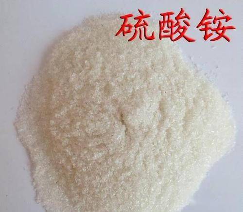 尿素涨价农民用不起,农资店不赚钱,销售有替代品吗