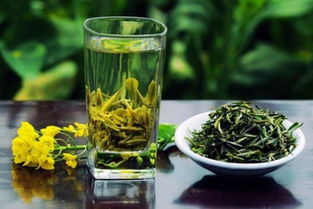 夏天喝什么茶最好 什么茶适合夏季喝 降暑解渴
