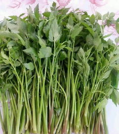 别错过第一口 鲜 春季野菜大搜罗,有些你可能都没见过