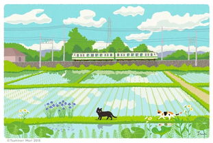 一只猫的旅行 春探花,夏扑蝶,秋戏叶,冬弄雪