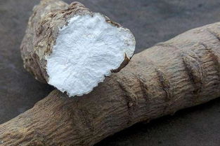 白芷种植一亩地收益多少钱 成本利润分析