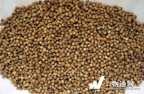 虾类价格 报价,多少钱