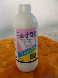 甲基硫菌灵的注意事项