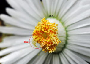 平顶山科技局