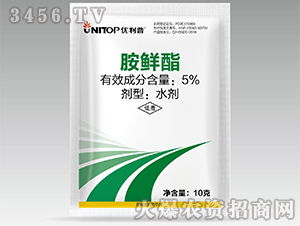 5 胺鲜酯