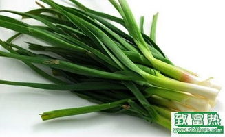 2023种蒜苗赚钱吗 2023种蒜苗前景及市场价格行情分析