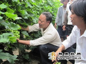 迪庆人民政府