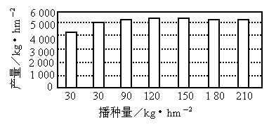 过去人们以为作物播种密度越大.产量越高.在保证营养需要的情况下.有人对小麦的产量与播种量的关系进行了研究.结果如下图所示 1 根据上图分析.当播种密度过大时小麦产量将