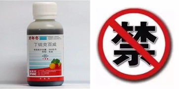 丁硫克百威被禁,果农怎么防治柑橘锈壁虱呢 虱螨脲可扛起大旗