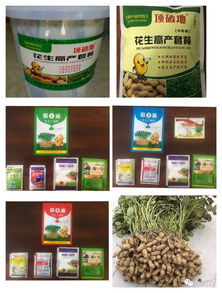 看看这花生喜人不