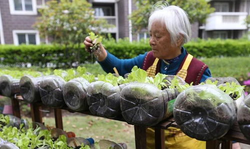 和农村老太太交往三年,她儿子提出5个条件让我娶她,我 不差钱