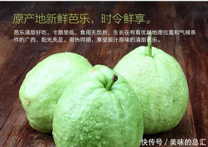 石榴种子怎么种