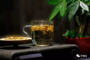 夏天适合喝什么茶叶是最好的