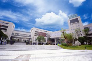 我国首个互联网学院落户重庆 缓解每年10万人才缺口