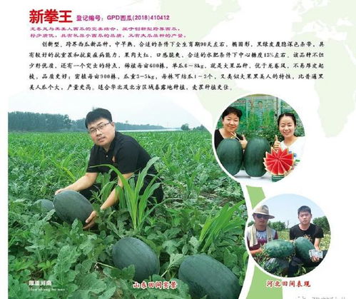 西瓜高产栽培管理技术一 西瓜对外界环境的要求