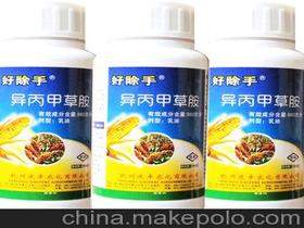 禾本科供应商,价格,禾本科批发市场 马可波罗网
