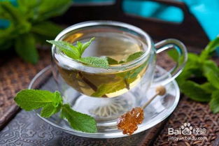 夏天适合喝什么茶