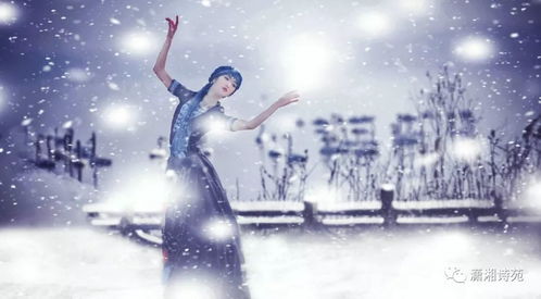 雪舞