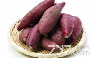 黑斑病图片