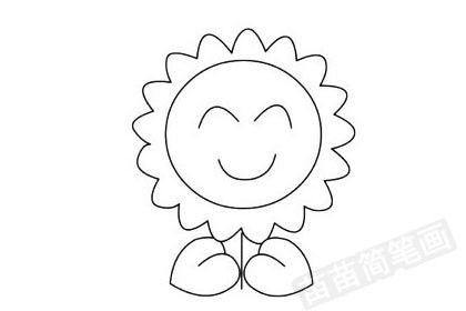 小太阳花图片