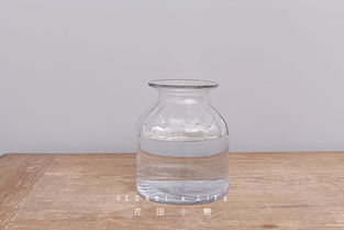 橙色泡泡