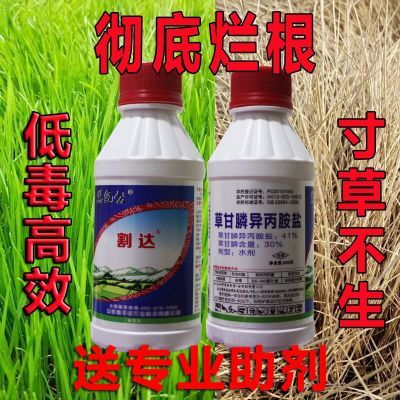草甘膦除草剂烂根果园除一切杂草死草灭生性草甘膦除草剂41 包邮