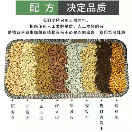 多肉植物营养土泥炭土多肉土叶插换盆土多肉专用土多肉颗粒土进口