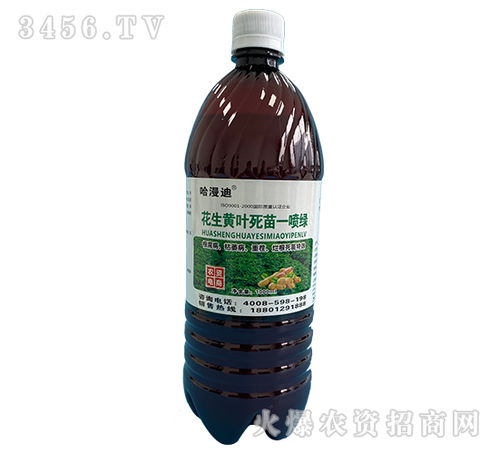 花生黄叶死苗一喷绿 鑫科植保