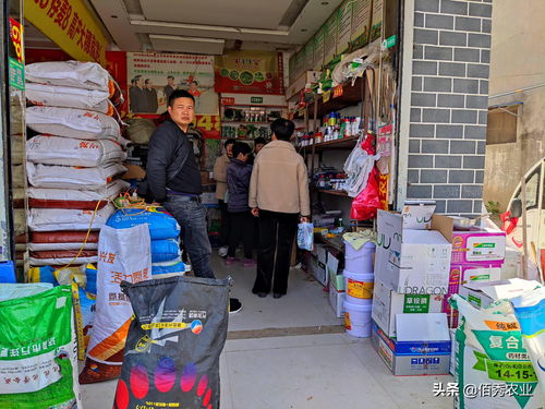 乡村农资店,化肥送到地头,还请客吃饭送礼品,利润到底有多大