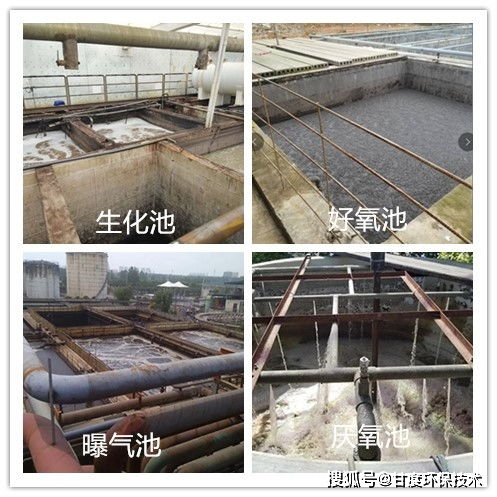 某养猪场废水处理案例