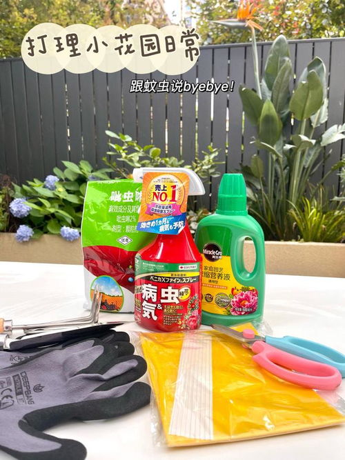 花5万块,改造30㎡花园,这样的一楼小院你难道不喜欢吗