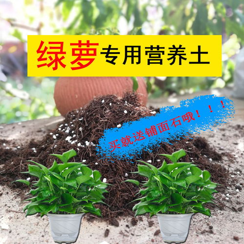 植畔绿萝盆栽植物吊兰花卉批发多肉花土营养土通用君子兰花专用土