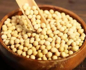 黄豆可以做肥料吗 简单处理一下,浇啥啥旺,一年不用施肥